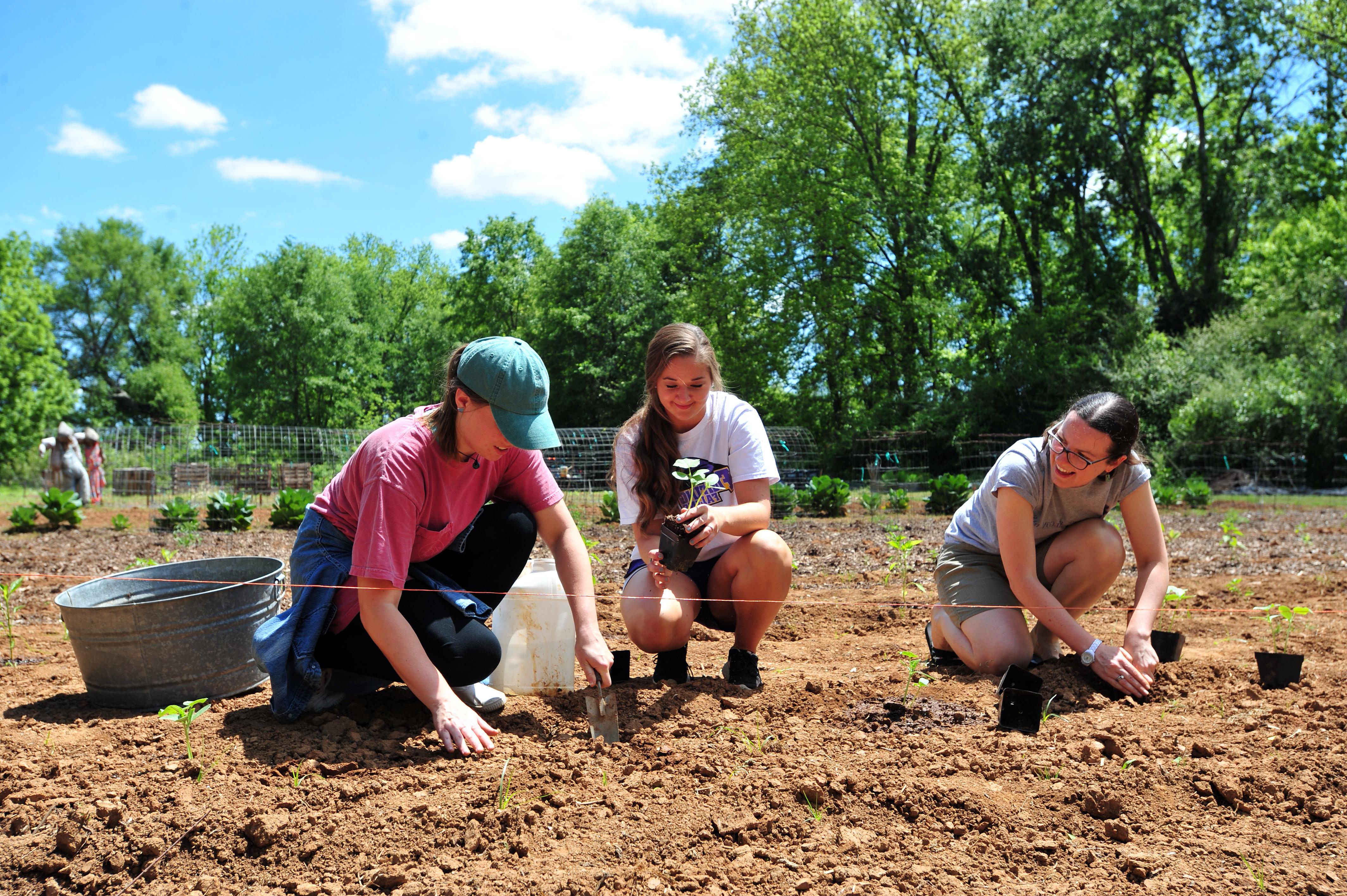 3 female students planting at the Community Garden